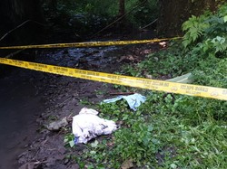 Mayat Bayi Ditemukan Tersangkut di Jembatan Pakem Sleman