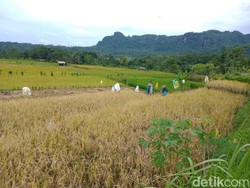 Langkaplancar, Bukti Pangandaran Tak Cuma Indah Pantainya Doang
