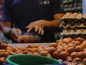 Mahalnya Harga Ayam dan Telur Diramal Sumbang Inflasi Juli Mahalnya Harga Ayam dan Telur Diramal Sumbang Inflasi Juli