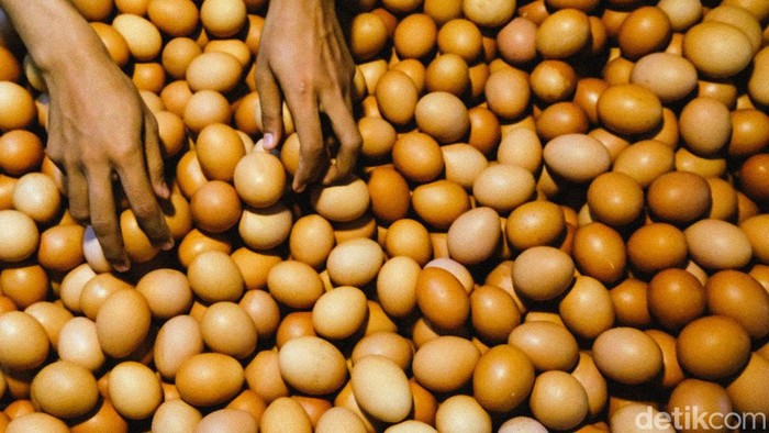 Harga telur ayam negeri masih terpantau tinggi di Jakarta. Hari ini, harga telur meraih Rp 30.500 per kilogram.