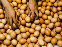 Harga Sembako Jogja Hari Ini 10 Juni 2025: Telur Ayam Ras Naik Tipis Banget!
