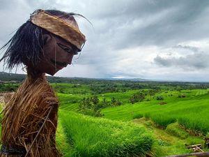 Lari Lintas Alam Warnai Jatiluwih Festival IV Lari Lintas Alam Warnai Jatiluwih Festival IV