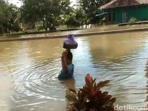 Jeritan Warga Lutra 6 Bulan Permukiman Terendam Banjir hingga Diteror Buaya Jeritan Warga Lutra 6 Bulan Permukiman Terendam Banjir hingga Diteror Buaya