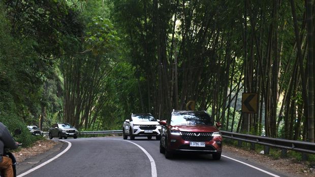 Wuling Alvez.