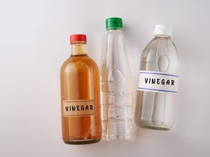 CH3COOH (Asam Asetat): Pengertian, Sifat, dan Manfaat