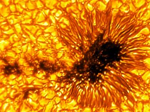 Gambar Matahari dari Teleskop Terkuat Ungkap Detail Menakjubkan