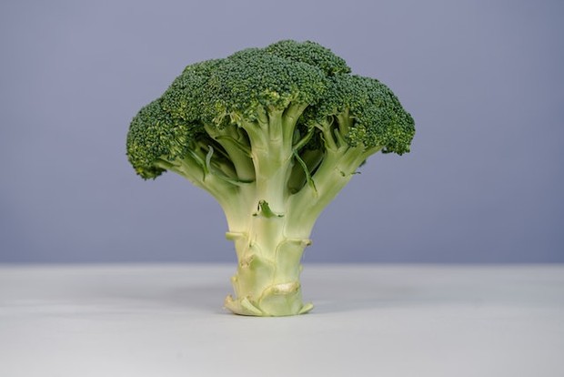 Ilustrasi brokoli