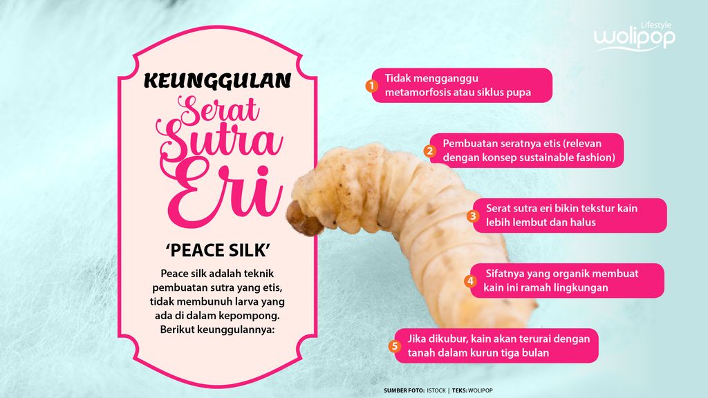 Infografis Sutra Eri Peace Silk