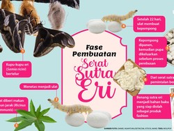 Fase Pembuatan Serat Sutra Eri untuk Tenun-Batik