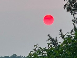 Matahari Merah Muncul di Langit Amerika, Ini Penjelasan Ahli