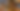 Tren pesan makanan via drive thru pakai kuda ada di Malaysia. (Foto: Site News/TikTok)