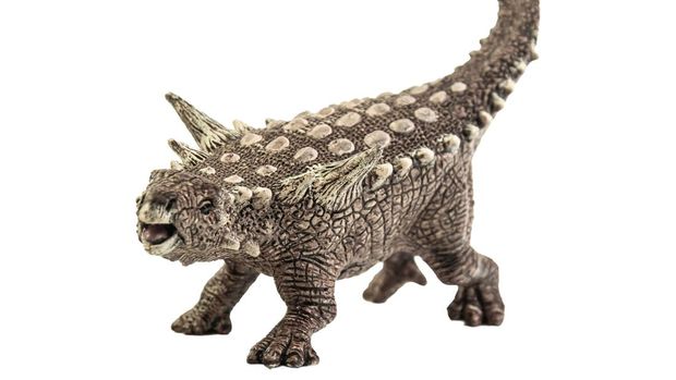 Ankylosaurus