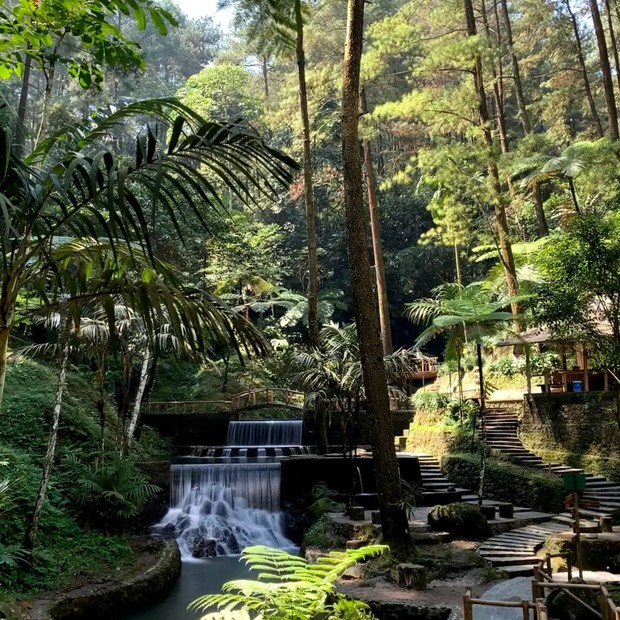 Curug Cipeuteuy. Foto: instagram.com/curug_cipeuteuy Suasana Curug Cipeuteuy yang sejuk