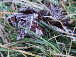 BMKG Prediksi Suhu Minus 0 Derajat Celcius di Dieng hingga September