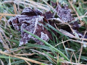 Embun Es Selimuti Kompleks Candi Arjuna Dieng Pagi Ini Embun Es Selimuti Kompleks Candi Arjuna Dieng Pagi Ini