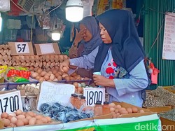 Harga Telur-Daging Ayam di Jambi Melonjak Naik