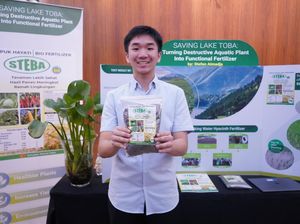Selamatkan Danau Toba, Siswa SMA Ini Sulap Eceng Gondok Jadi Pupuk Nabati Selamatkan Danau Toba, Siswa SMA Ini Sulap Eceng Gondok Jadi Pupuk Nabati
