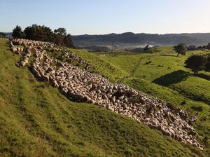 Cara Nabi Muhammad SAW Investasi, Bisa Ditiru