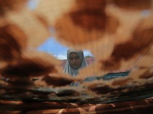 Melihat Produksi Kerupuk Kamplang Khas Pulau Bacan Melihat Produksi Kerupuk Kamplang Khas Pulau Bacan