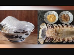 Viral, Restoran Jual Ramen dengan Topping Kecoa Raksasa