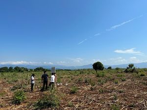BPKN Kritik Wacana Tanah Telantar Diambil Negara: Melanggar Hak Warga Negara BPKN Kritik Wacana Tanah Telantar Diambil Negara: Melanggar Hak Warga Negara