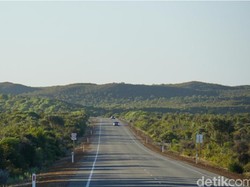 Kisah Wanita Terdampar 5 Hari di Padang Rumput, Bertahan dengan Sebotol Wine