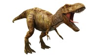 Studi: T-rex Butuh 40 Tahun untuk Tumbuh Dewasa