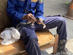 Hiii.. Ada Ular Ngumpet di Kamar Warga Sukabumi