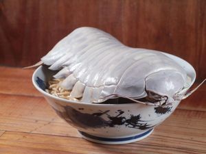 Ramen dengan Topping Kutu Raksasa, Bikin Ngiler Nggak nih? Ramen dengan Topping Kutu Raksasa, Bikin Ngiler Nggak nih?