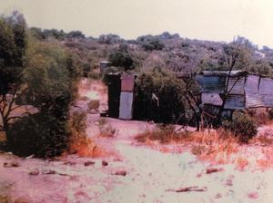 Apa Itu National Sorry Day yang Diperingati di Australia Hari Ini? Apa Itu National Sorry Day yang Diperingati di Australia Hari Ini?