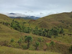 Menjaga Tanah Adat Tersisa di Bukit Khambu