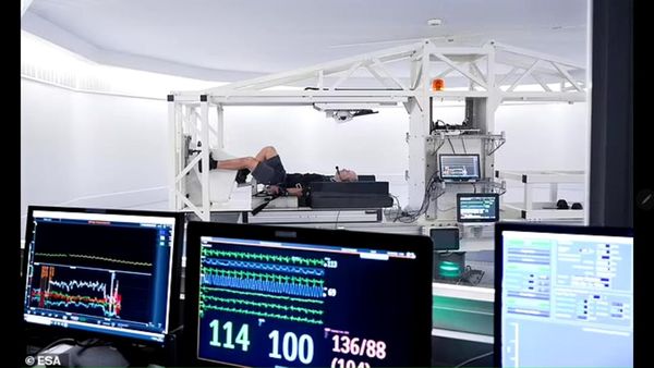 Pekerjaan Impian Kaum Rebahan, Bayarannya Ratusan Juta