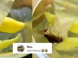 Jijik! Pria Ini Nyaris Telan Rujak Mangga Berikut Kecoa