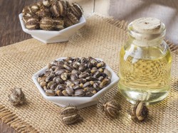 6 Manfaat Minyak Jarak bagi Kesehatan serta Efek Sampingnya