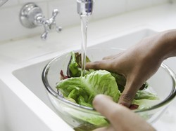 Apa Perlu Daun Selada Dicuci Sebelum Dimakan?