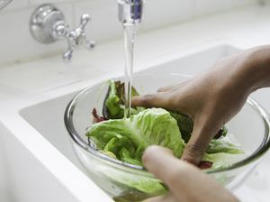 Apa Perlu Daun Selada Dicuci Sebelum Dimakan? Apa Perlu Daun Selada Dicuci Sebelum Dimakan?