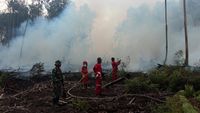 100 Hektar Hutan Gambut di Sumatera Barat Terbakar