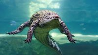 Beragam Aksi Buaya di Dubai Crocodile Park