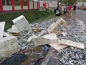 Cerita Mistis Lokasi Kecelakaan Maut Yang Renggut Nyawa Anggota Brimob Dompu