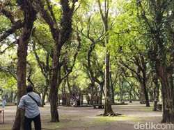 Ademnya Berlibur ke Kesambi Trees Park Blitar, Wisata Plus Edukasi Konservasi