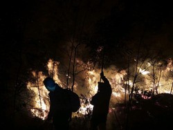 Kebakaran Lereng Gunung Welirang Mojokerto Belum Bisa Dipadamkan
