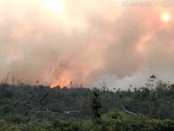 Sudah 5 Hari, Lebih 100 Hektare Lahan di Pesisir Selatan Terbakar