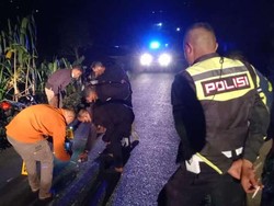 Pria Korban Tabrak Lari di Manggarai Tewas, Ikan Berserakan Jadi Petunjuk