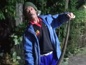 Hii! Kobra Jawa Jumbo Ditangkap Usai Satroni Rumah Warga Klaten Hii! Kobra Jawa Jumbo Ditangkap Usai Satroni Rumah Warga Klaten