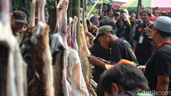 Unik, Ada Lomba Menguliti Kambing di Lebaran Tenabang