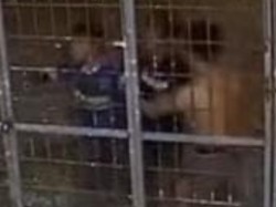 Barbar 12 Pelajar SMP di Makassar Serang Rumah Tetangga gegara Ditegur