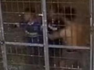 Barbar 12 Pelajar SMP di Makassar Serang Rumah Tetangga gegara Ditegur Barbar 12 Pelajar SMP di Makassar Serang Rumah Tetangga gegara Ditegur