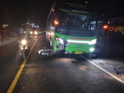 Lagi, Pemotor Tewas Hantam Bus di Jalan Denpasar-Gilimanuk