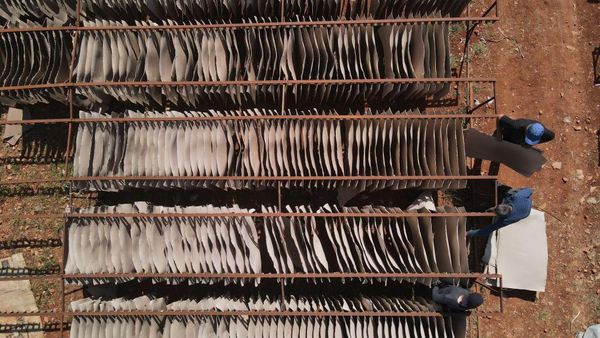 Mengintip Fasilitas Kertas Daur Ulang buat Perangi Pencemaran