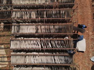 Mengintip Fasilitas Kertas Daur Ulang buat Perangi Pencemaran Mengintip Fasilitas Kertas Daur Ulang buat Perangi Pencemaran